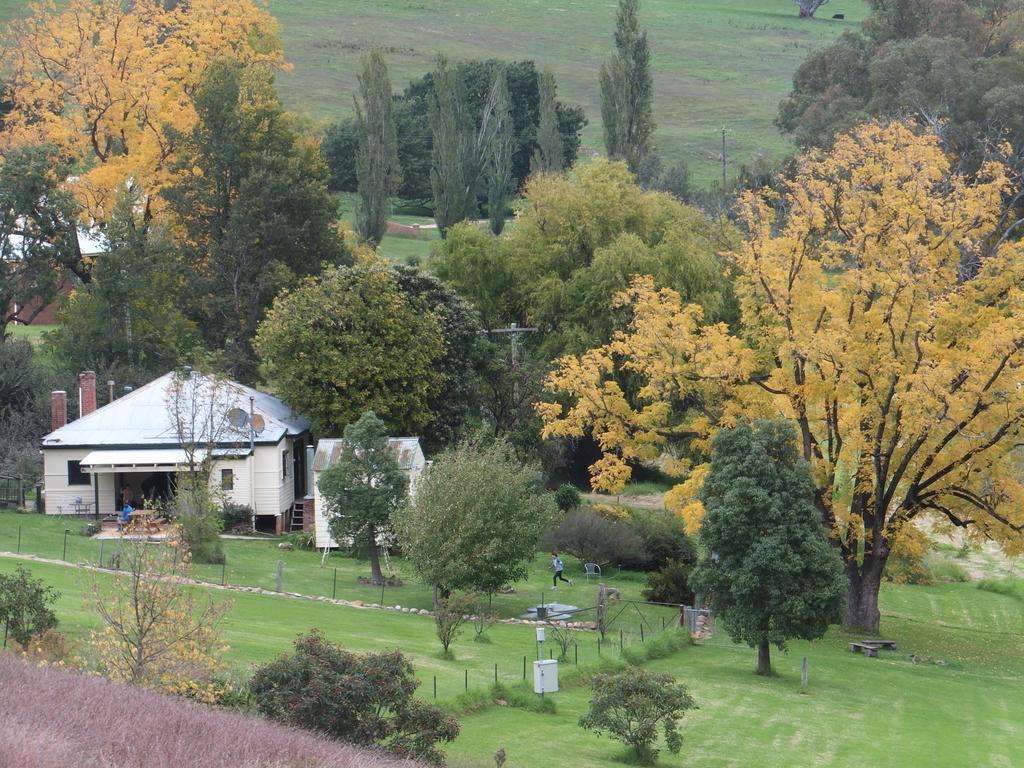 Elm Cottage Tumut Eksteriør bilde