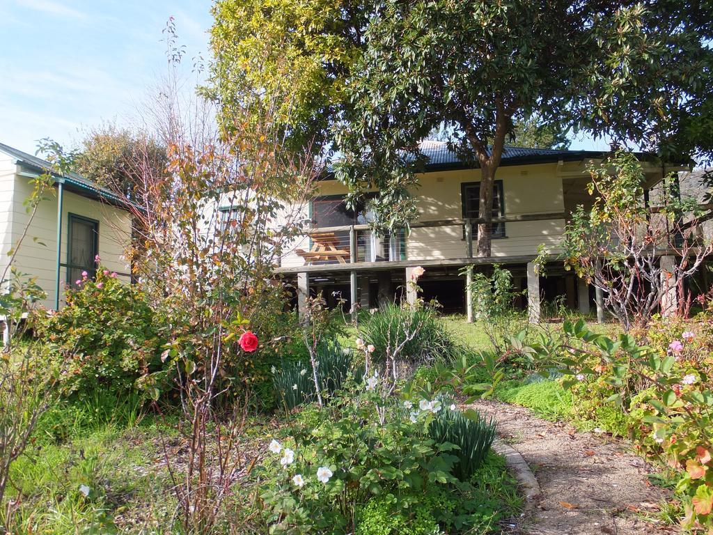 Elm Cottage Tumut Eksteriør bilde